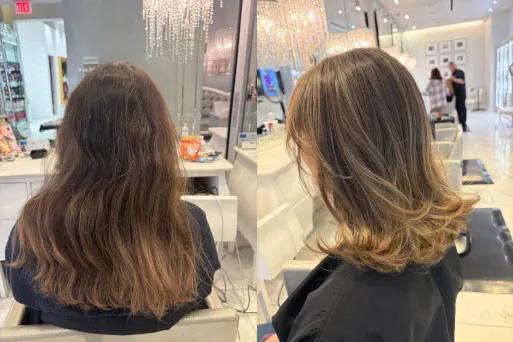 Highlights, Haircut, Blow-dry, and Style preview